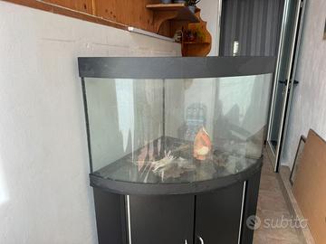 Acquario Juwel Trigon 190