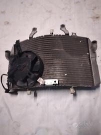 Radiatore + Ventola Suzuki GSX-R 1000 K1 K2