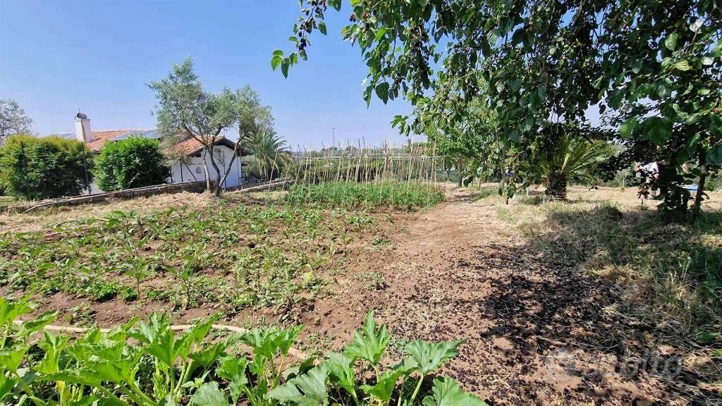 Terreno di 140 m² a Vitorchiano - Vista 4