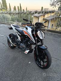 Ktm Duke 390 del 2022