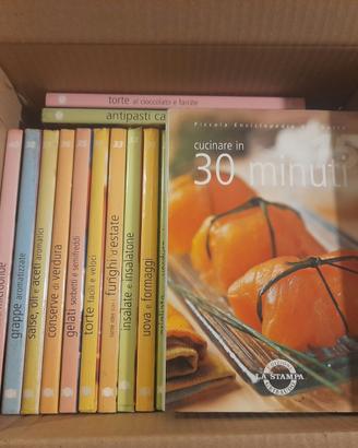 Piccola enciclopedia del gusto Gribaudo 25 volumi