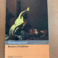 Libro Shakespeare