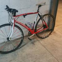 bici pinarello treviso misura m