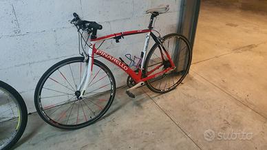 bici pinarello treviso misura m