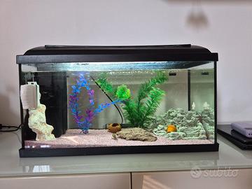 acquario 60 litri