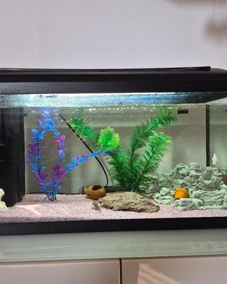 acquario 60 litri