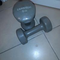 coppia pesi da 5 kg.carnielli