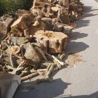 Legna da ardere quercia e ulivo