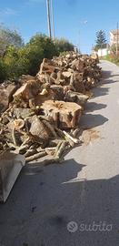 Legna da ardere quercia e ulivo