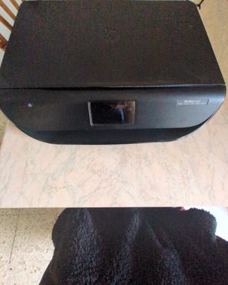 Stampante HP ENVY 4520