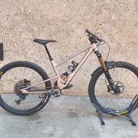 SCOR 4060 LT TG M 2024