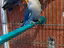 Immagine 1