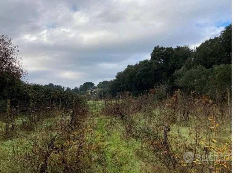 Immobile in asta di 22900 m² a Tempio Pausania - Vista 2