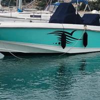 Boston whaler outrage 270