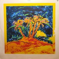 Mario schifano - serigrafia a colori - 100x100