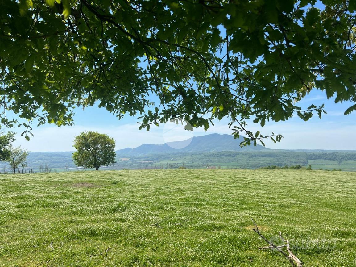 TER. AGRICOLO A COLLEVECCHIO - Vista 2