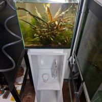 Acquario completo newamore
