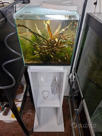 Acquario completo newamore