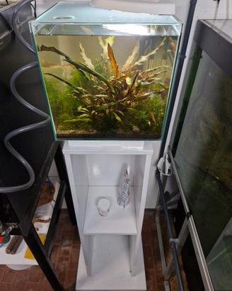 Acquario completo newamore