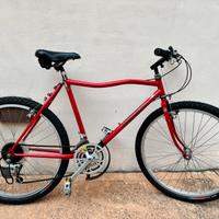 Mtb Vintage
