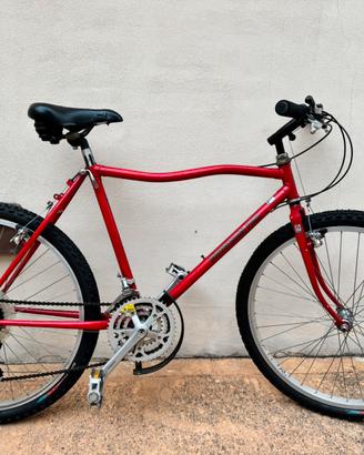 Mtb Vintage