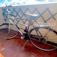 Bicicletta Viscontea cambio shimano