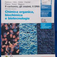 il carbonio, gli enzimi, il DNA