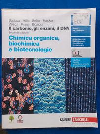 il carbonio, gli enzimi, il DNA
