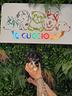cuccioli-di-chihuahua