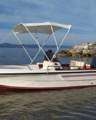 Barca ELAN 5m con motore e carrello