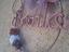 Immagine 6