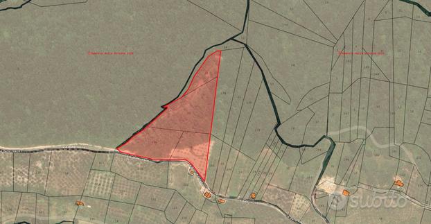 Lotti di terreno agricolo di 2,8 ha totali | TR371