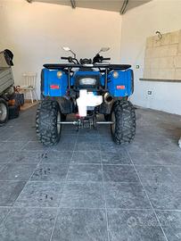 Altro Altro modello - 2010