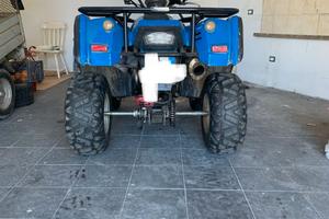 Altro Altro modello - 2010