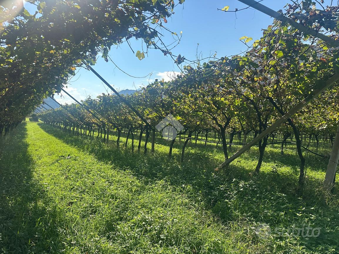 TERRENO A ARCO - Vista 3