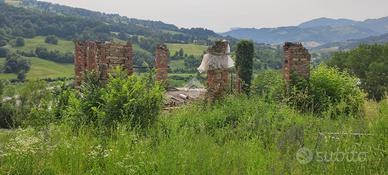 RUSTICO A CARPINETI