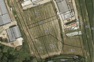 Terreno Agricolo Edificabile (per stalla, fv ecc.)