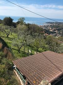 Terreno agricolo di 3000 mq