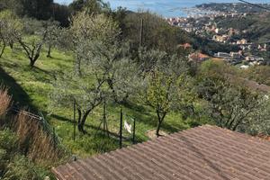 Terreno agricolo di 3000 mq