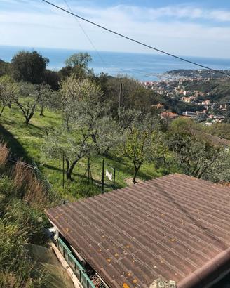 Terreno agricolo di 3000 mq
