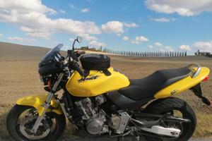 Hornet