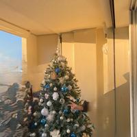 Albero di Natale