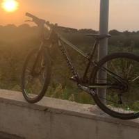 Mtb 29 taglia s