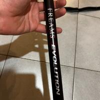Bolognese daiwa freams evolution 7m canna da pesca