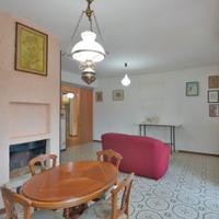 Disponibile da subito