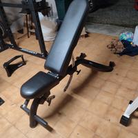 panca professionale palestra 