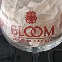 Bicchiere / baloon gin tonic