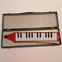 Accordietta strumento musicale