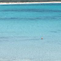Cala liberotto