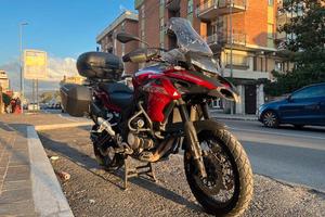 BENELLI TRK 502 X - 2019 "TRIS VALIGIE"